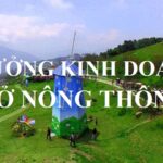 Kinh doanh nông thôn